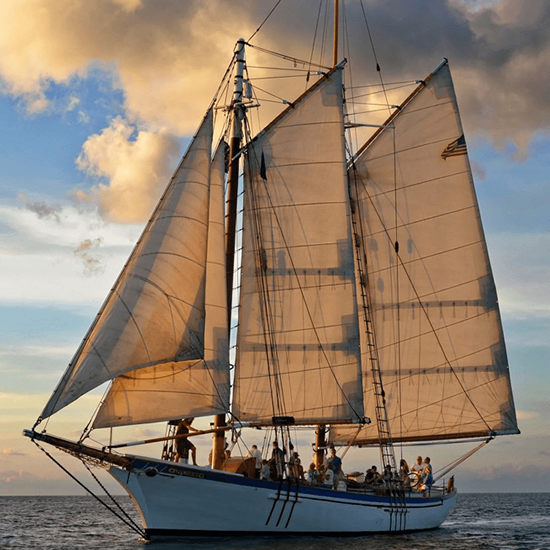 Camden Windjammer Festival