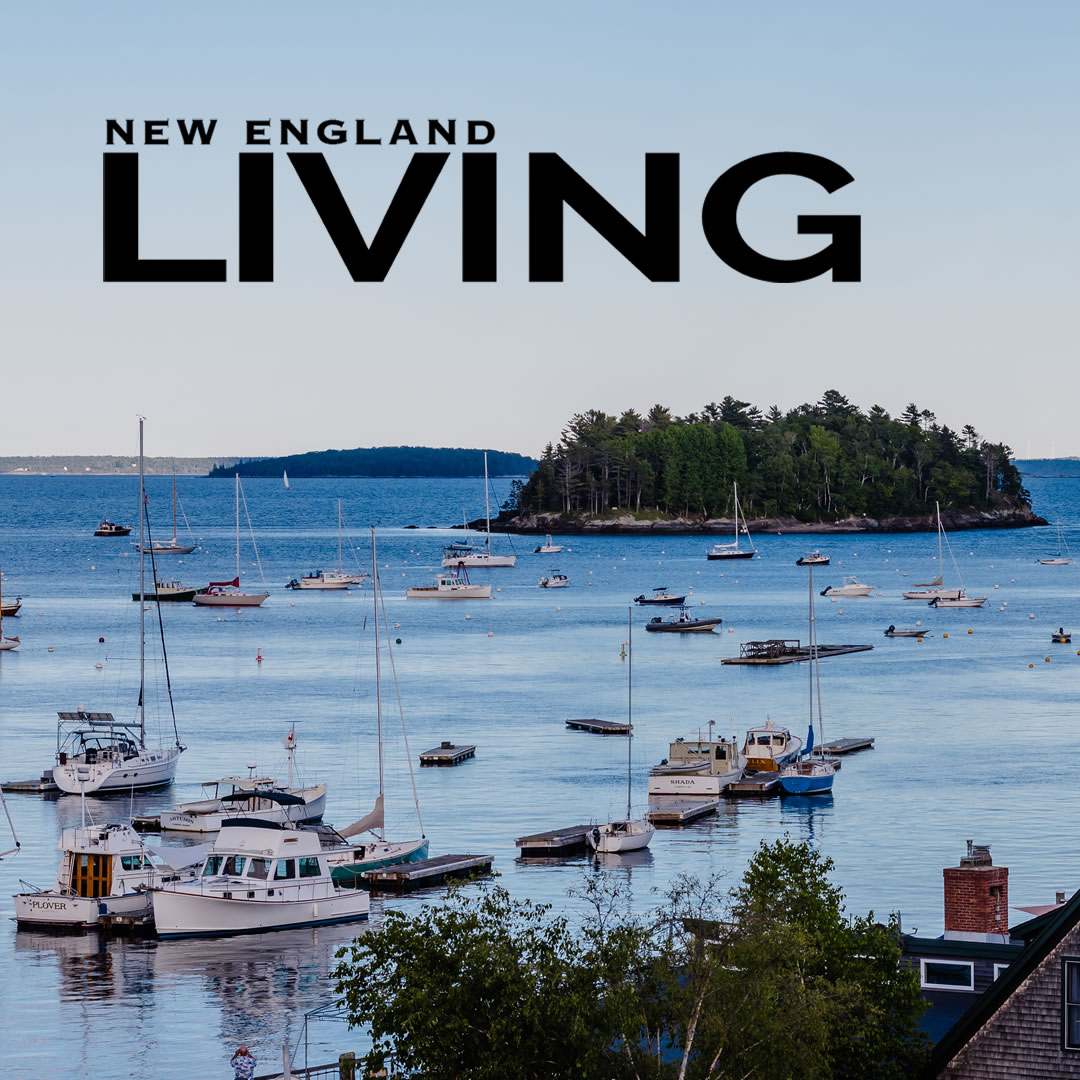 Lights, Camera, Bay View in Action!