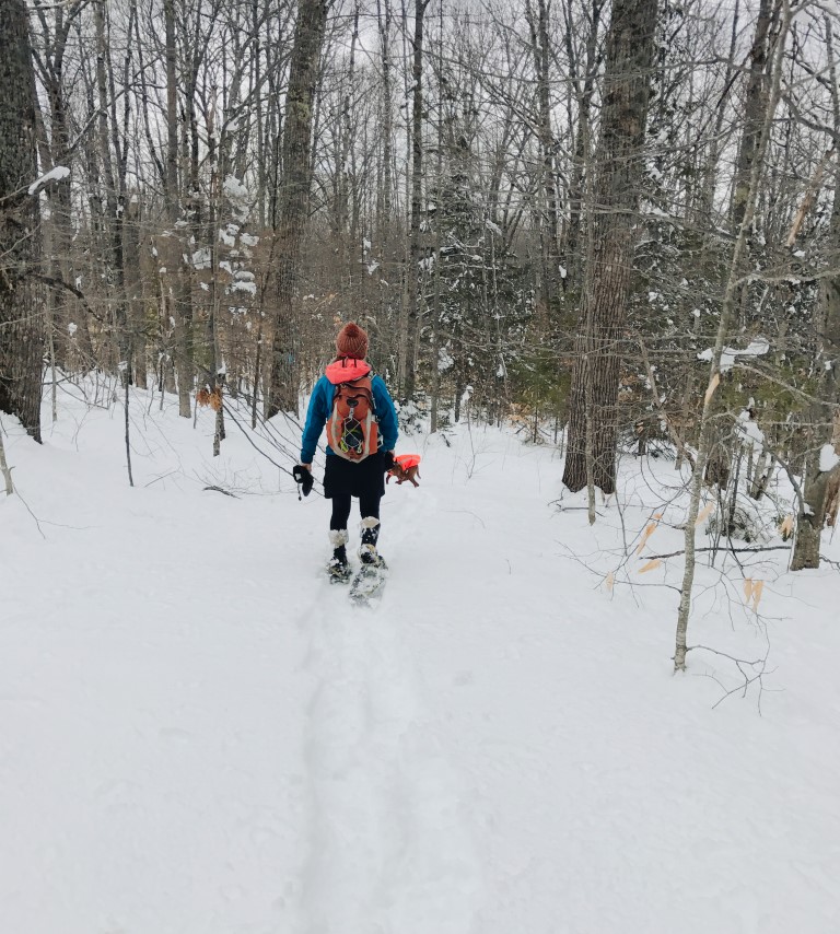 Snowshoe in Camden Maine